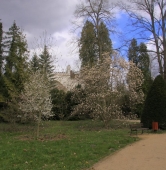 fot. Arboretum Kórnickie