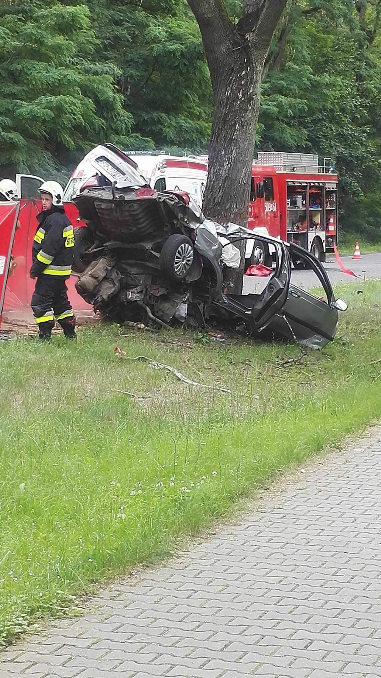 Samochód uderzył w drzewo. Kierowca zginął na miejscu