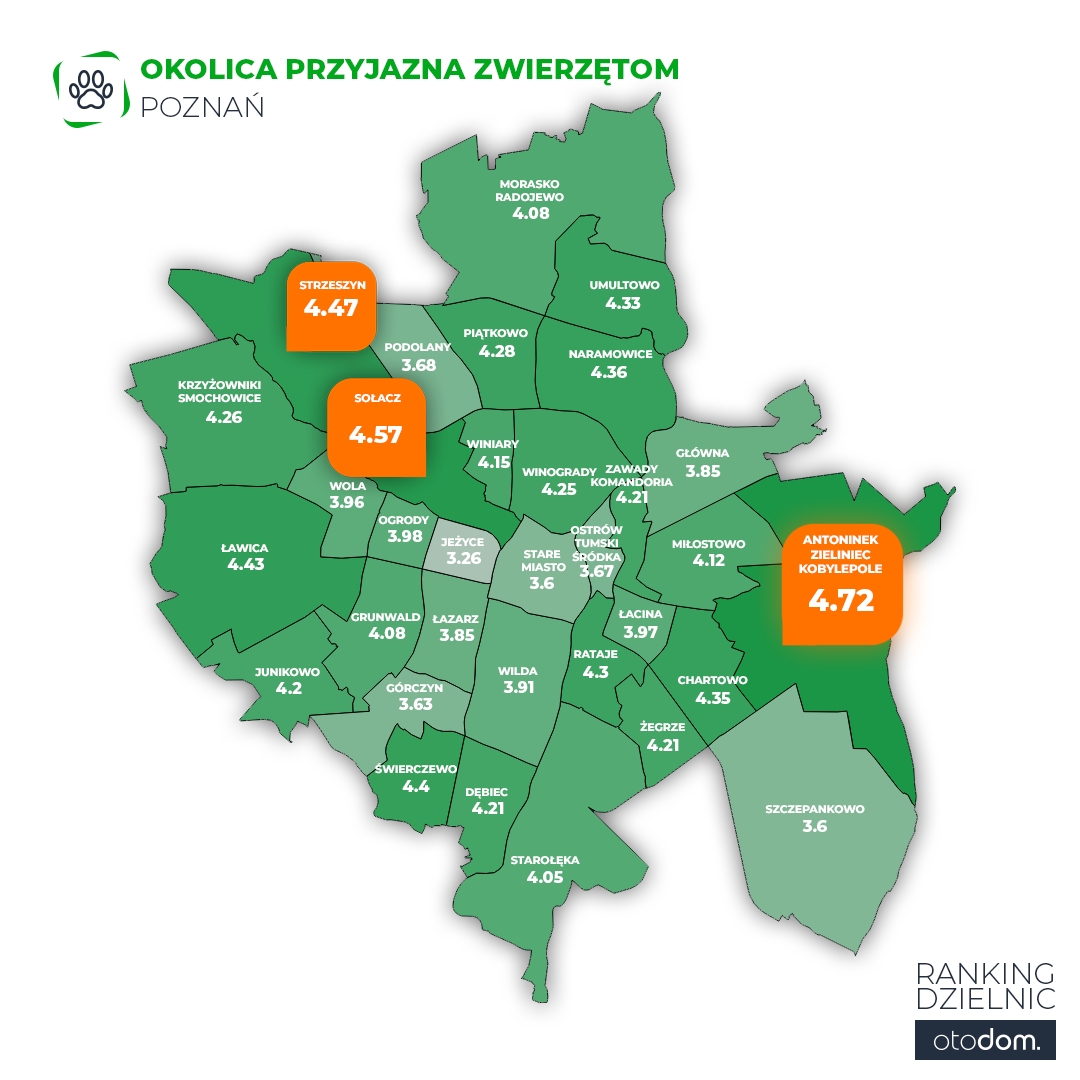 Gdzie w Poznaniu najlepiej żyje się zwierzętom domowym?