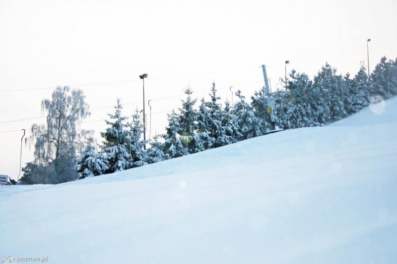 fot. Malta Ski