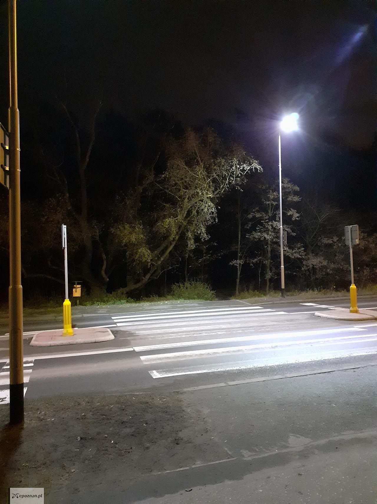 fot. Jan Perz (RO Piątkowo)