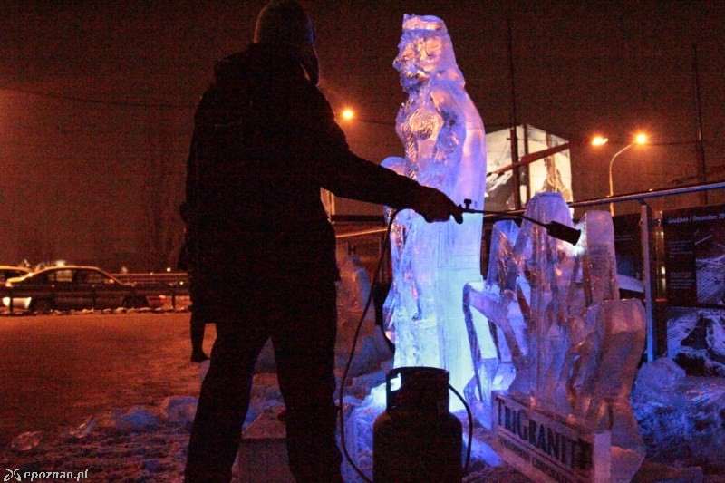 fot. Tomasz Nowak