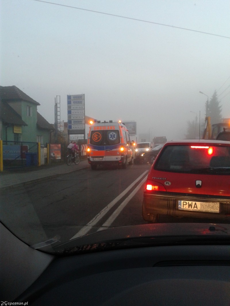 fot. czytelnik