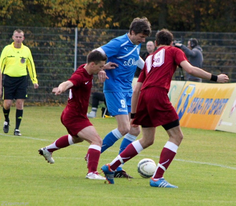 Lech Poznań Oldboys - Inter Zdrój 12:2  | fot. Elżbieta Skowron