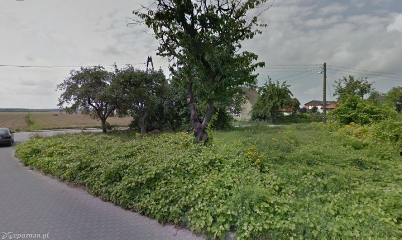 Na tym terenie chłopcy chcieli wybudować szałas | fot. Google Street View