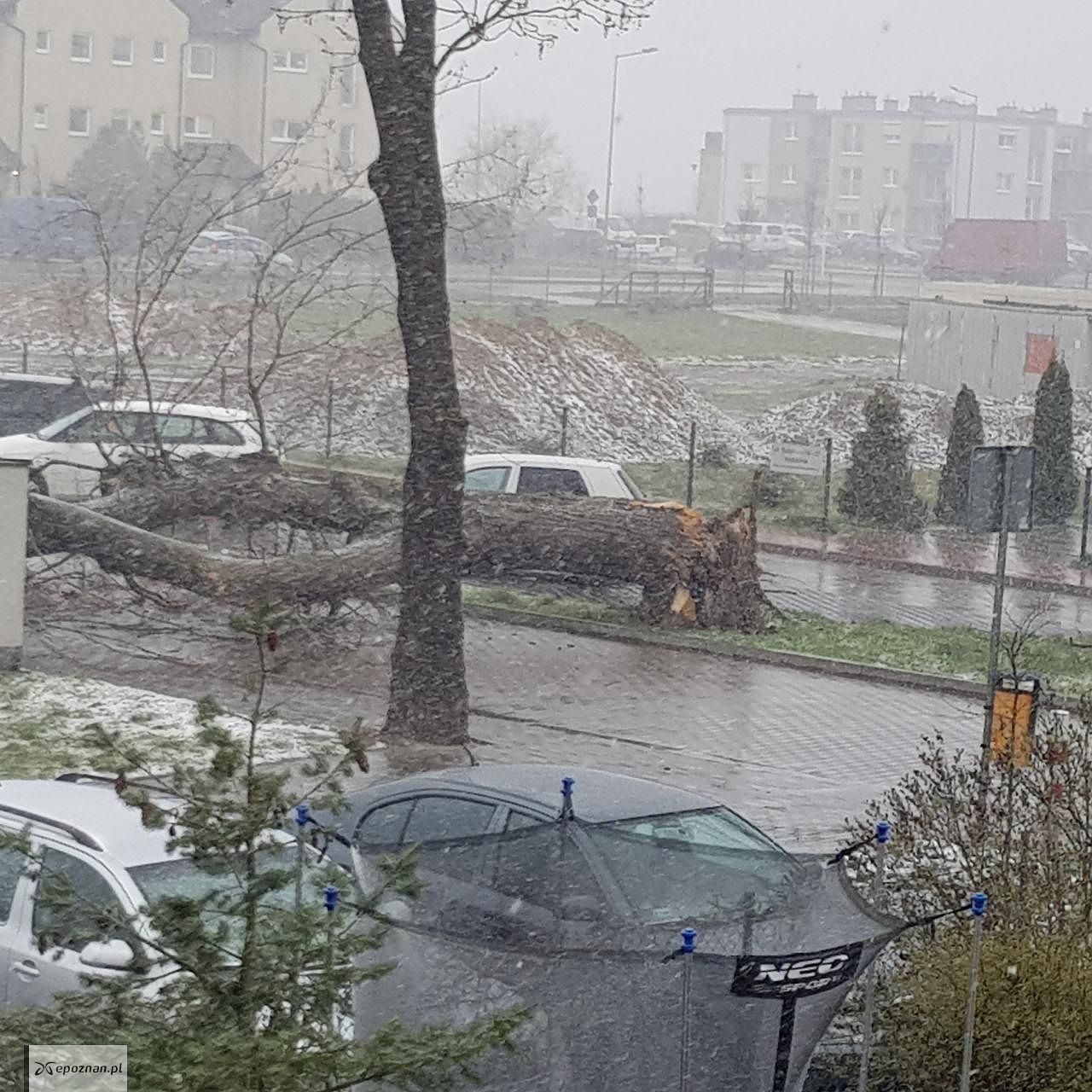 fot. Czytelnik
