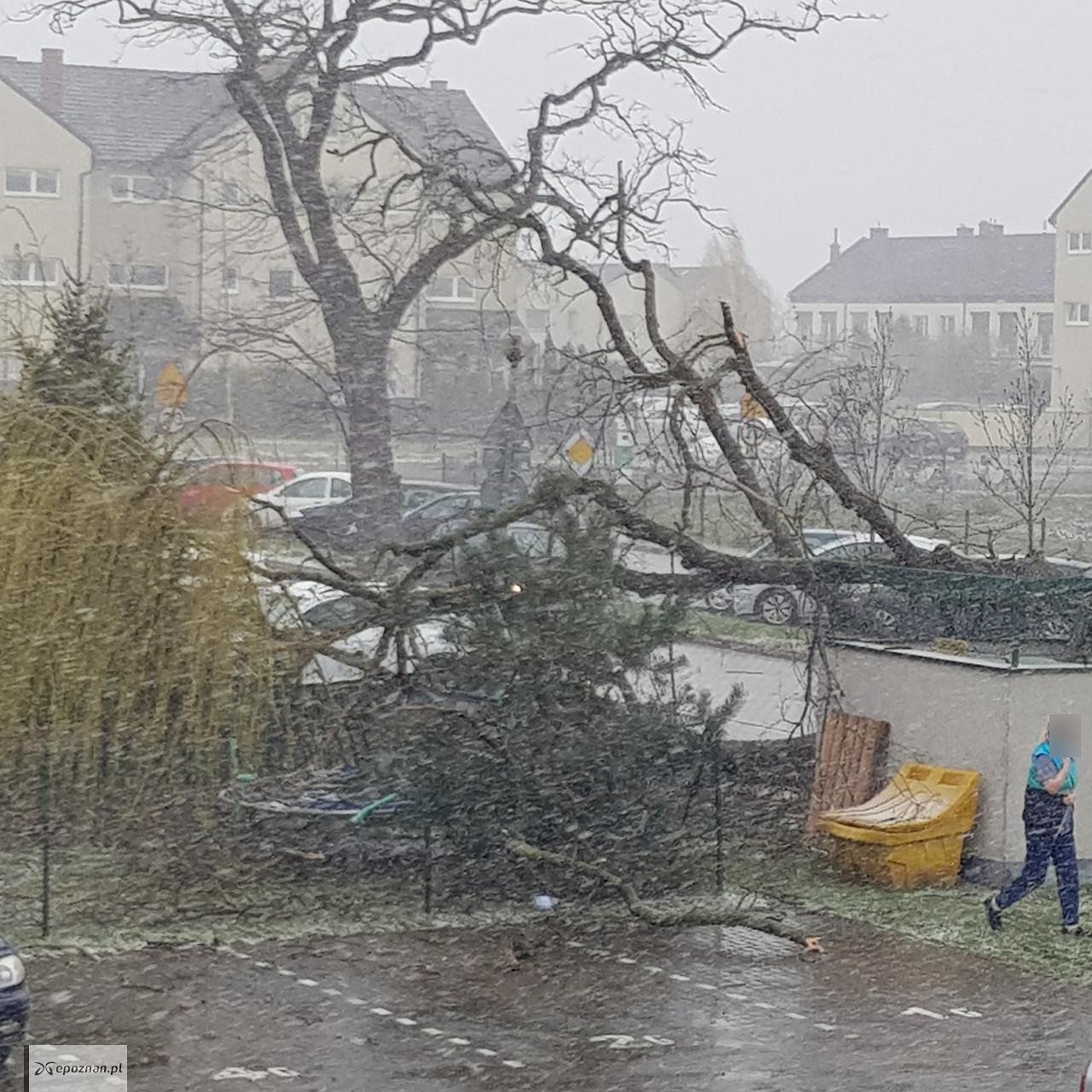 fot. Czytelnik