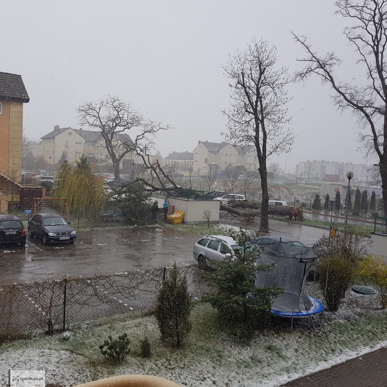 fot. Czytelnik