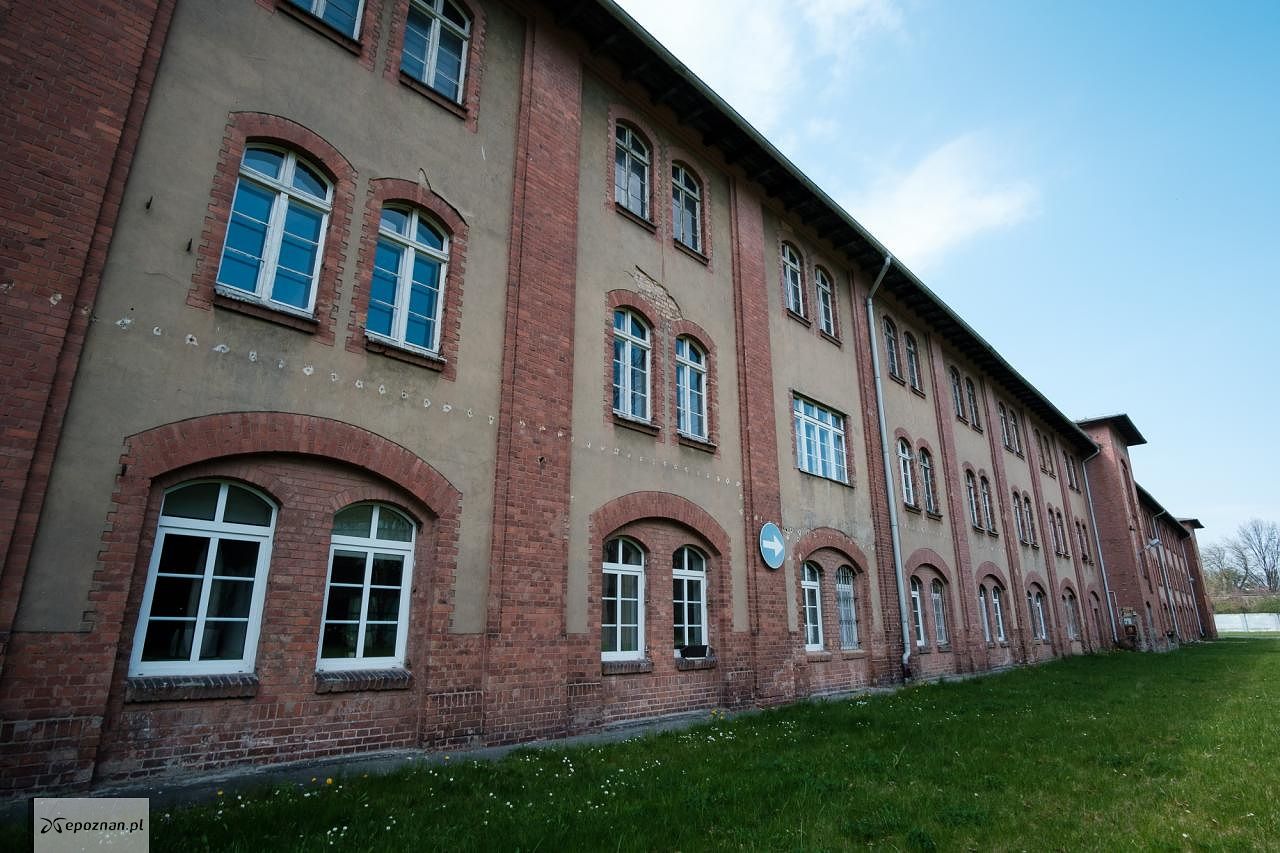 fot. Materiały prasowe