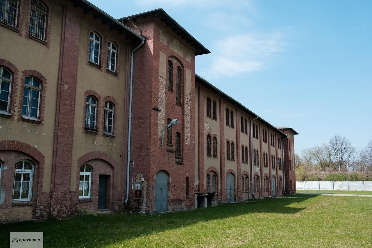fot. Materiały prasowe