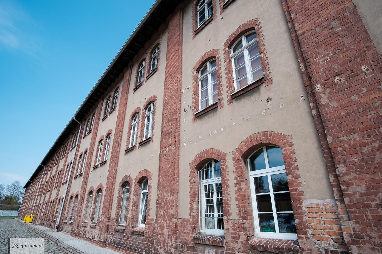 fot. Materiały prasowe