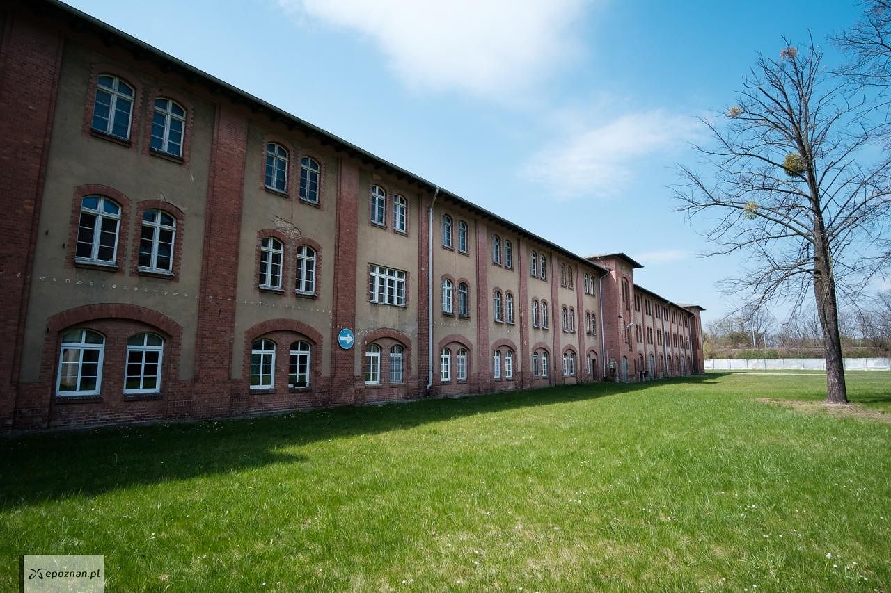 fot. Materiały prasowe