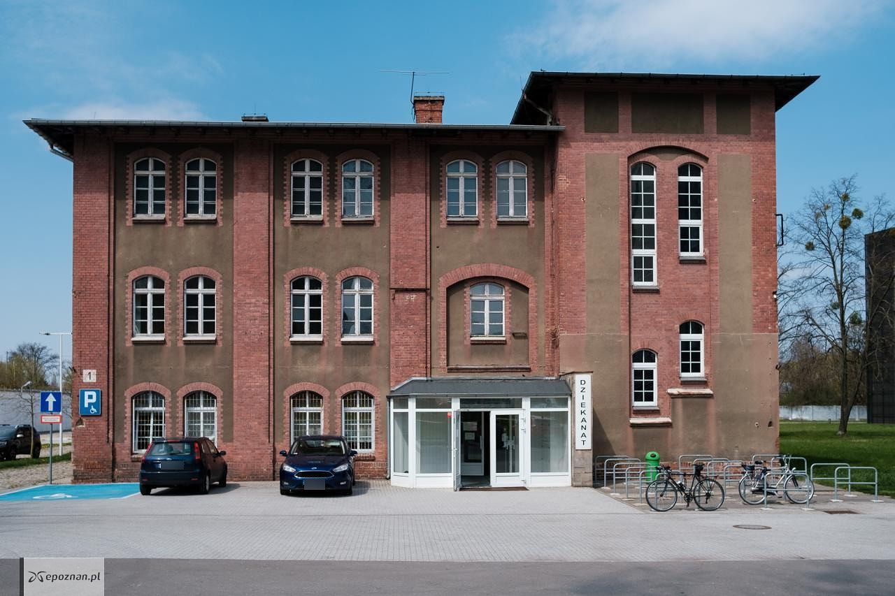 fot. Materiały prasowe