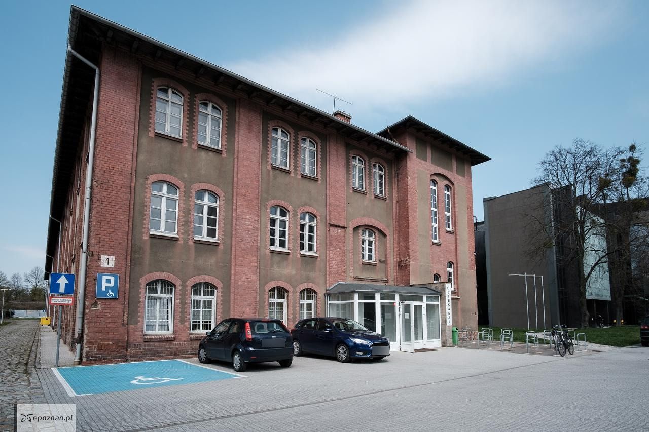 fot. Materiały prasowe