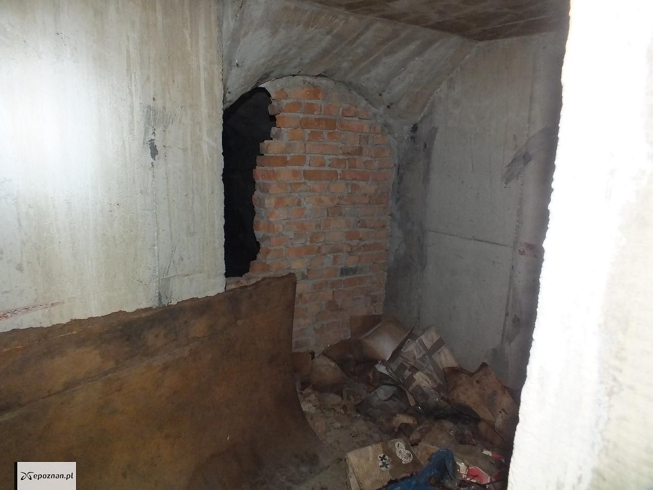 fot. Poznańska Grupa Eksploracyjna
