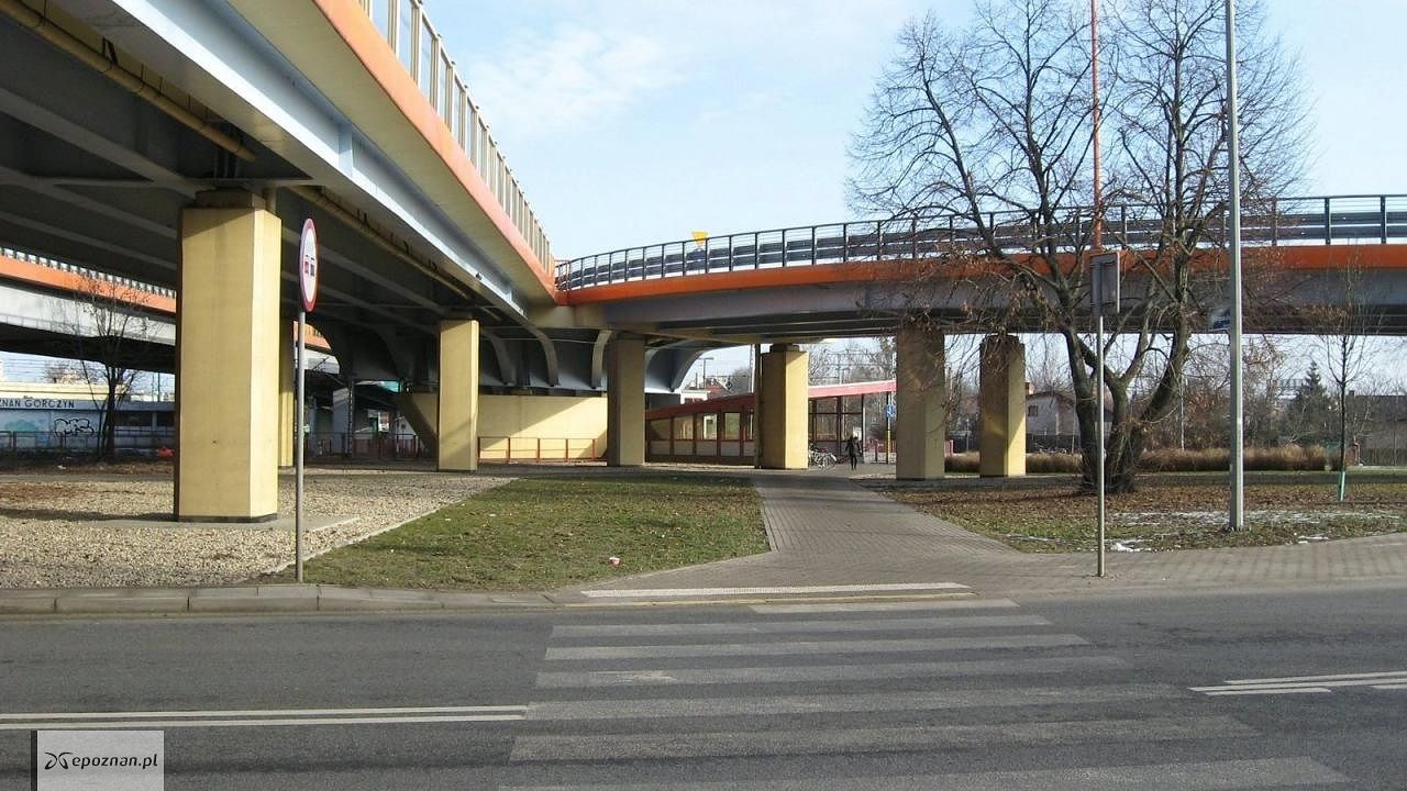 fot. UM Poznań