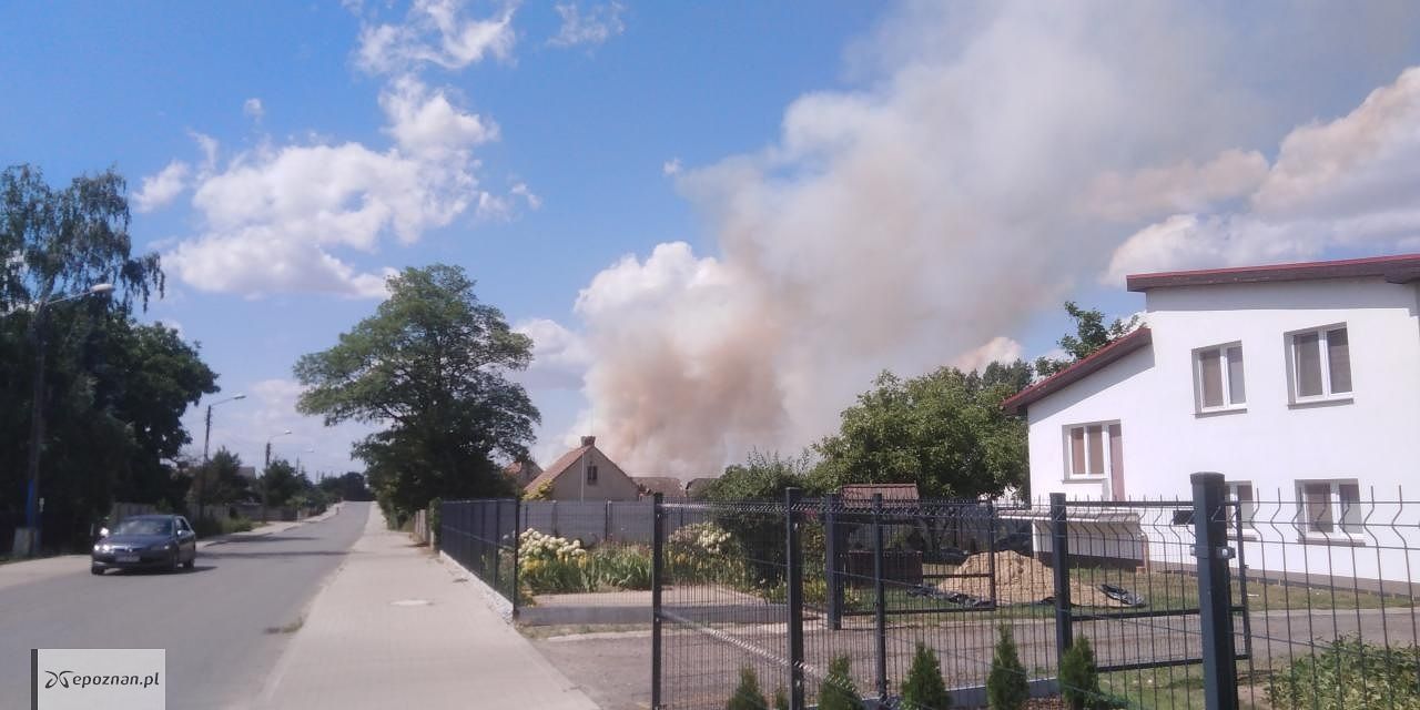 Dym widziany z Zielątkowa | fot. Czytelnik