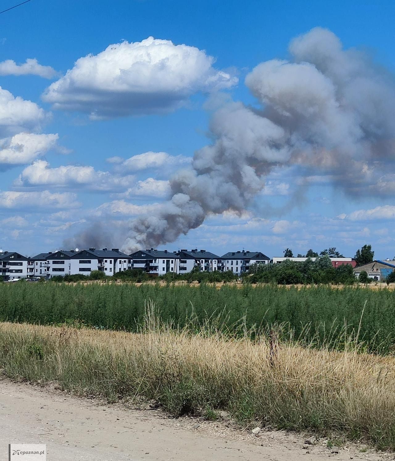 Widok z Rokietnicy | fot. Czytelnik