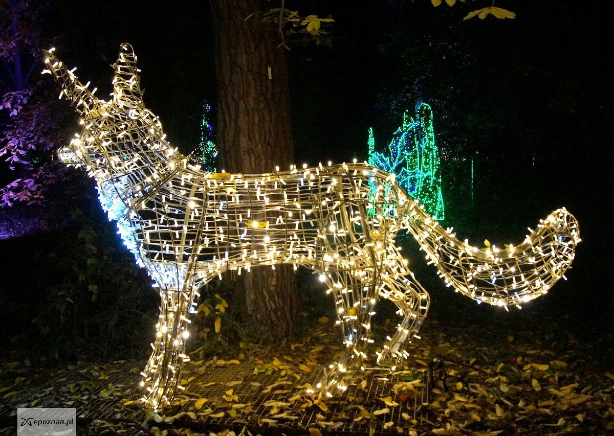 fot. Włodzimierz Hoppel