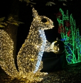 fot. Włodzimierz Hoppel