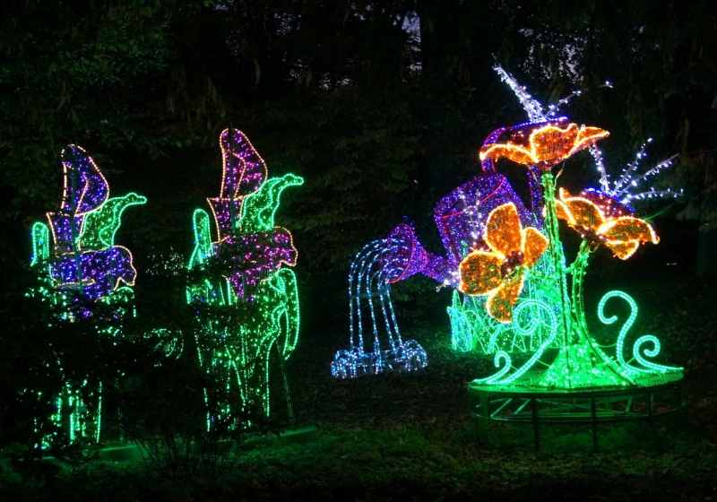 fot. Włodzimierz Hoppel