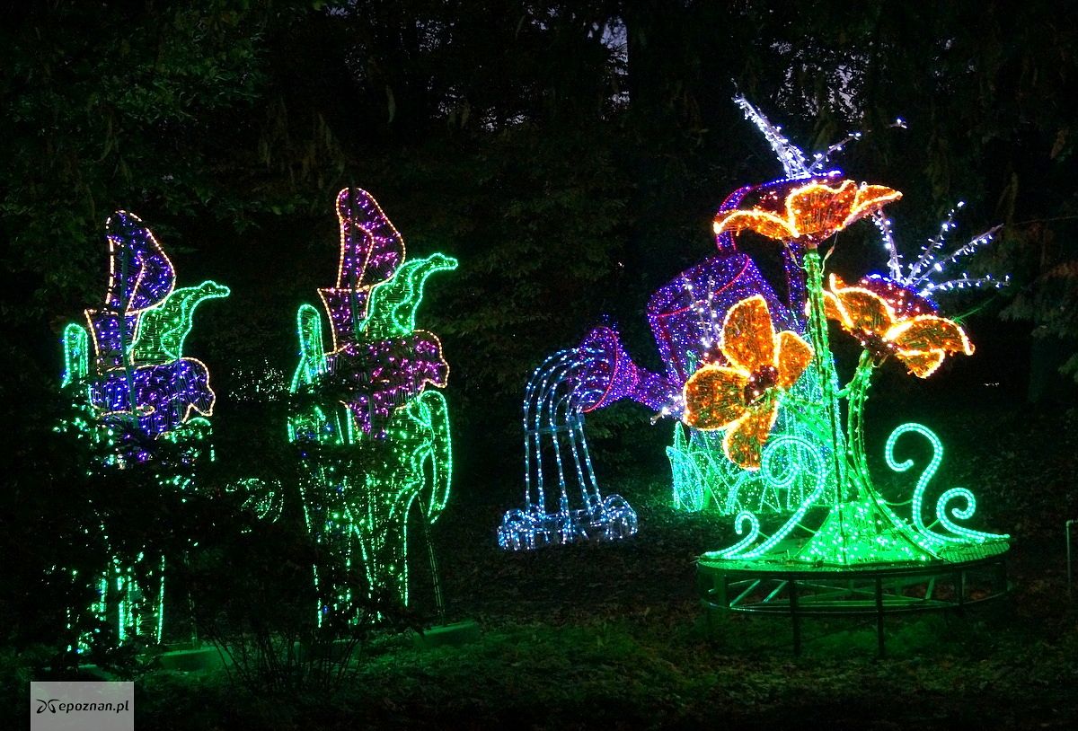 fot. Włodzimierz Hoppel