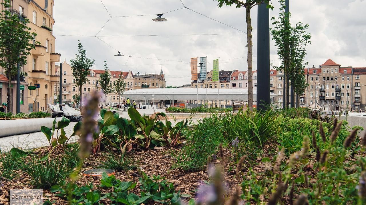 fot. UM Poznań