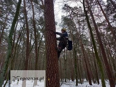 fot. Archiwum Nadleśnictwa Czerniejewo