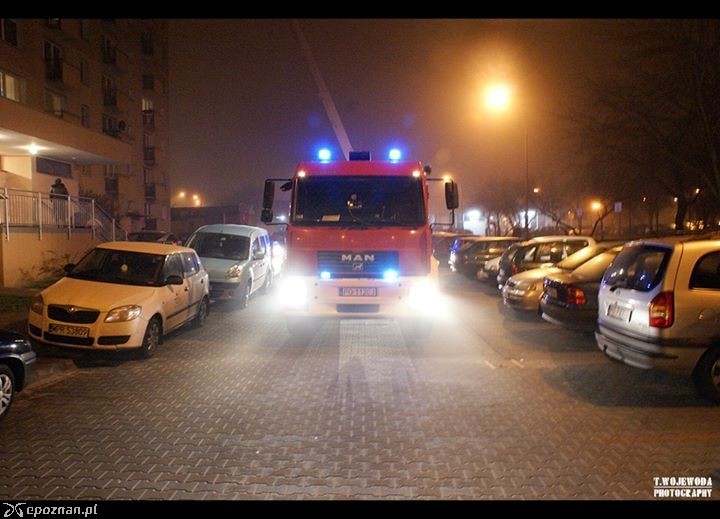 fot. Tomasz Wojewoda