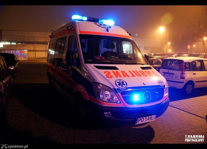 fot. Tomasz Wojewoda