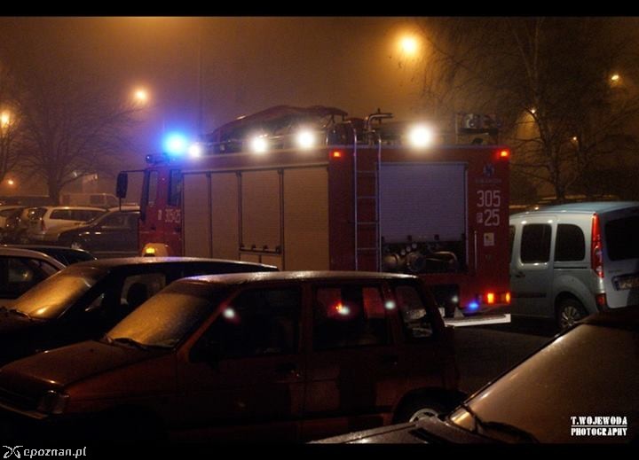 fot. Tomasz Wojewoda