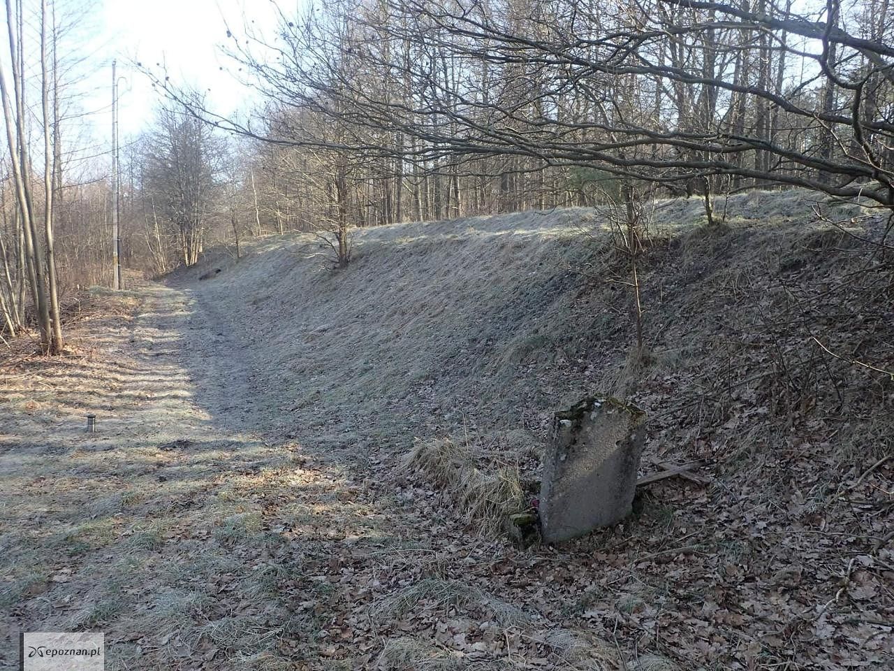 fot. Poznańska Pracownia Badań Historycznych i Archeologicznych Pomost