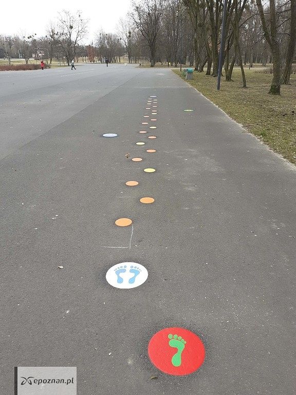 fot. ZZM Poznań