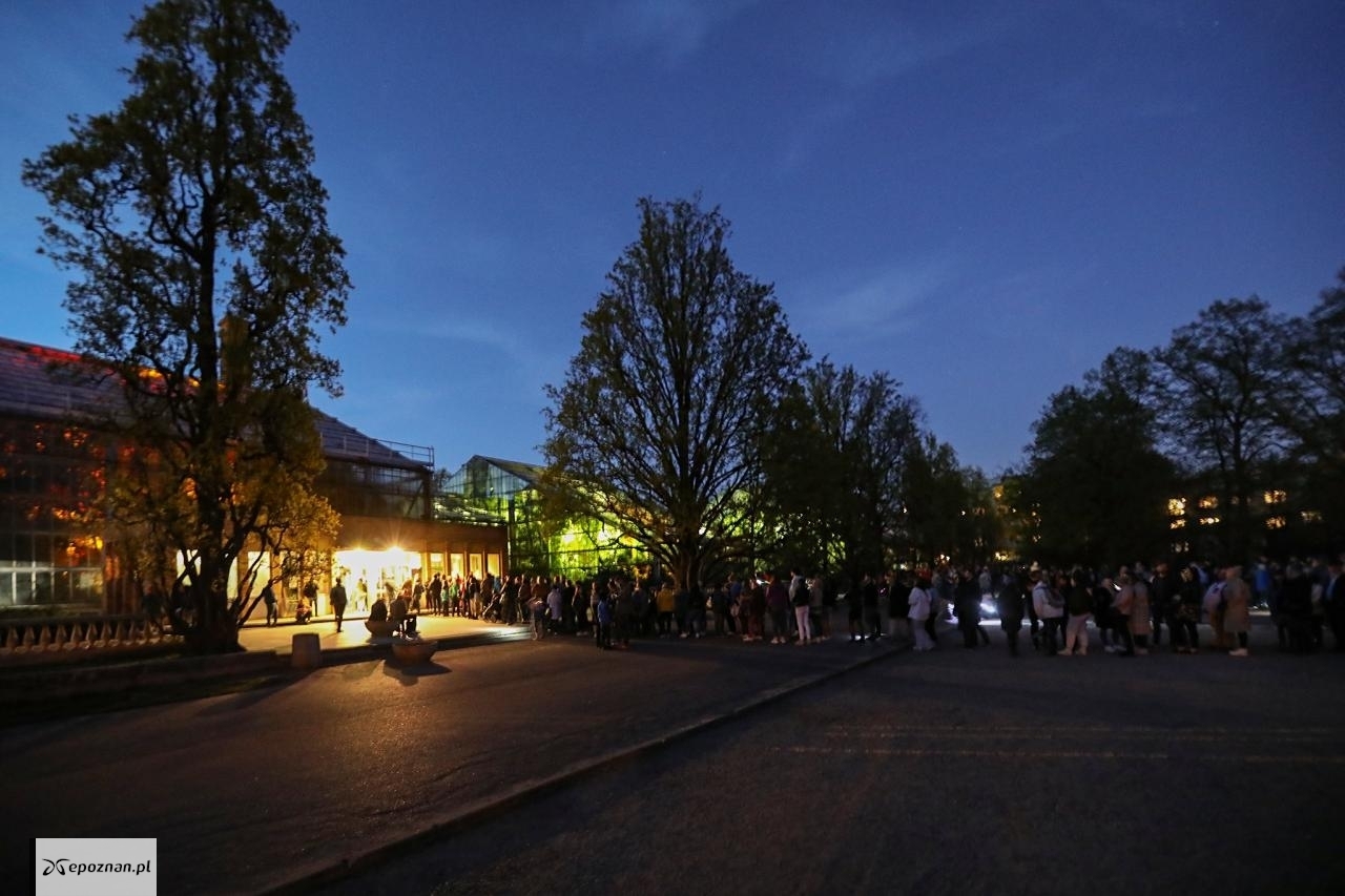 Kwietniowa "Noc w Palmiarni". Tłum przed wejściem. | fot. L.T.