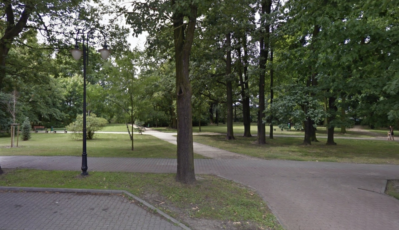 Zwierzę znaleziono w tym parku | fot. Google Street View