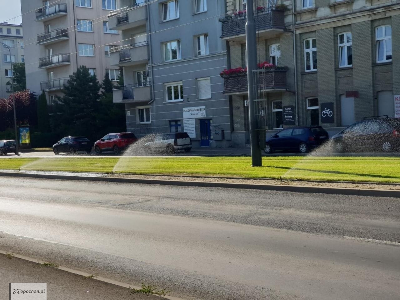 Pas zieleni na torowisku przy ul. Grunwaldzkiej. | fot. P.