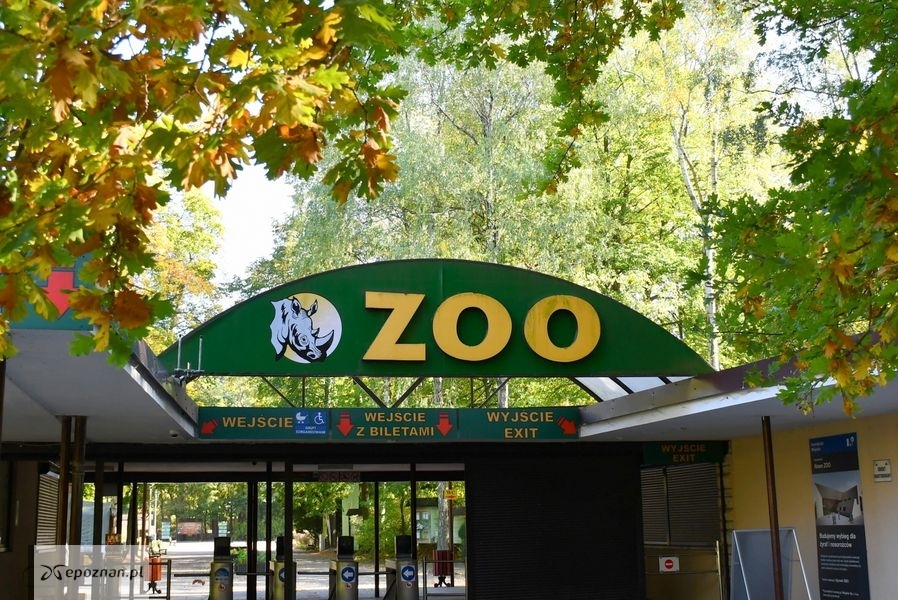 fot. Zoo Poznań Official Site / Facebook