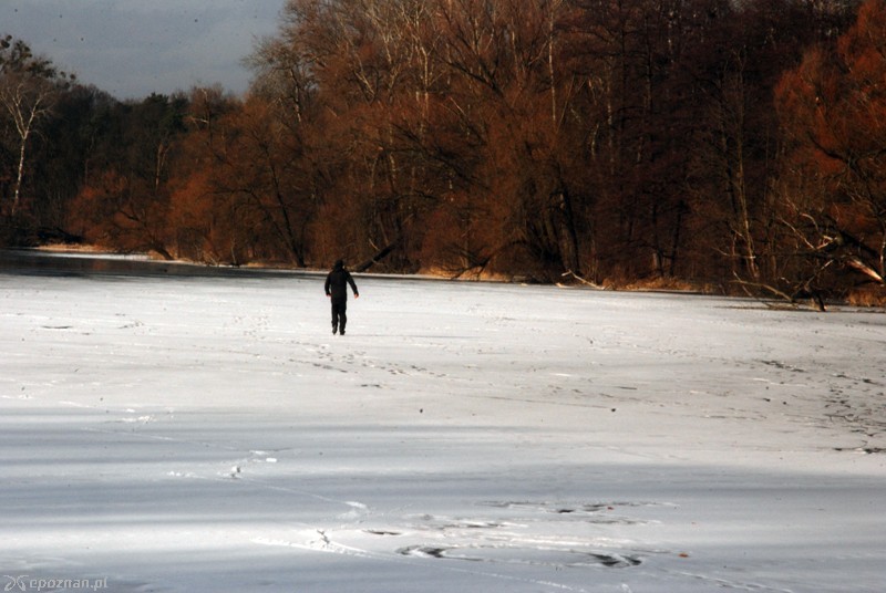 fot. Piotr Knach