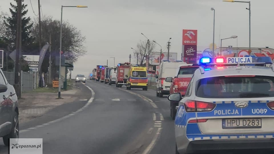 fot. A.N./ Wielkopolska Policja / FB
