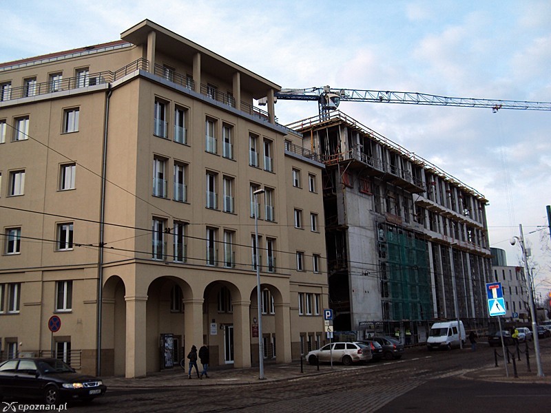 fot. Tomasz Woźniak