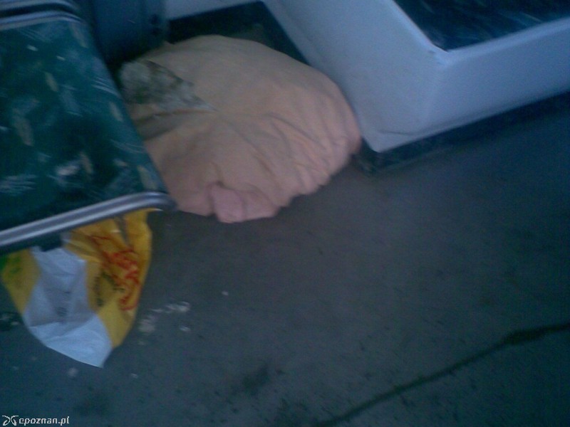 Przedmioty pozostawione przez bezdomnych w tramwaju linii nr 9 | fot. Mieszkaniec Wildy