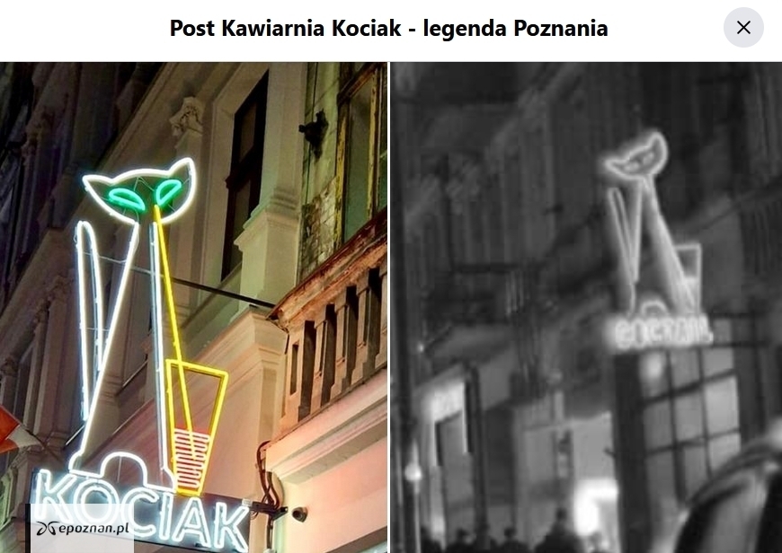 Na Święty Marcin wrócił neon. "Taki sam jak kiedyś" | fot. Kawiarnia Kociak - legenda Poznania / FB