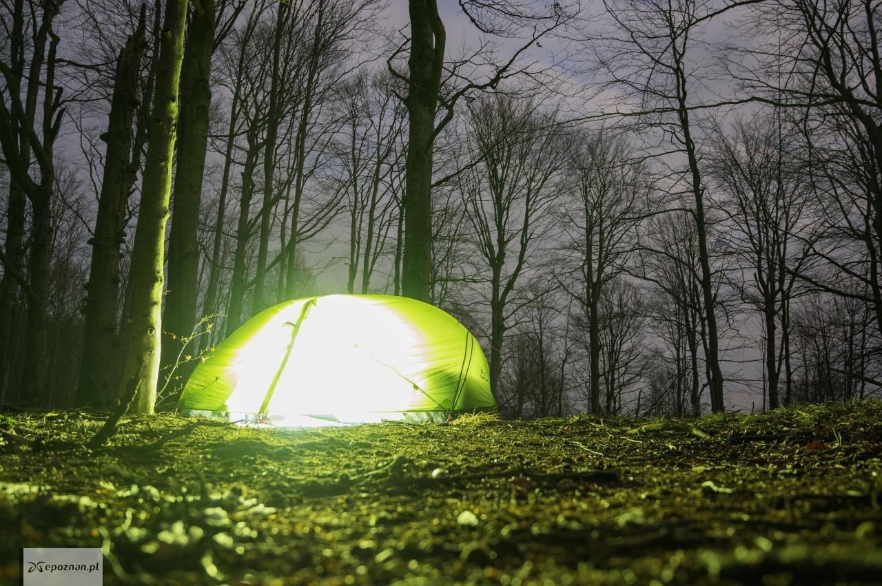 Archiwum Lasów Państwowych | fot. Maciej Chromy